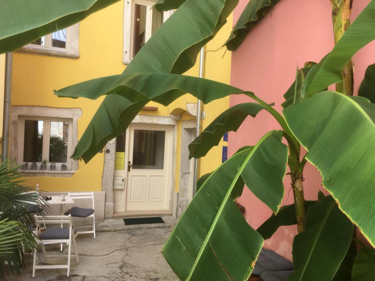 Casa Colloredo Free Parking Rovinj Exterior foto